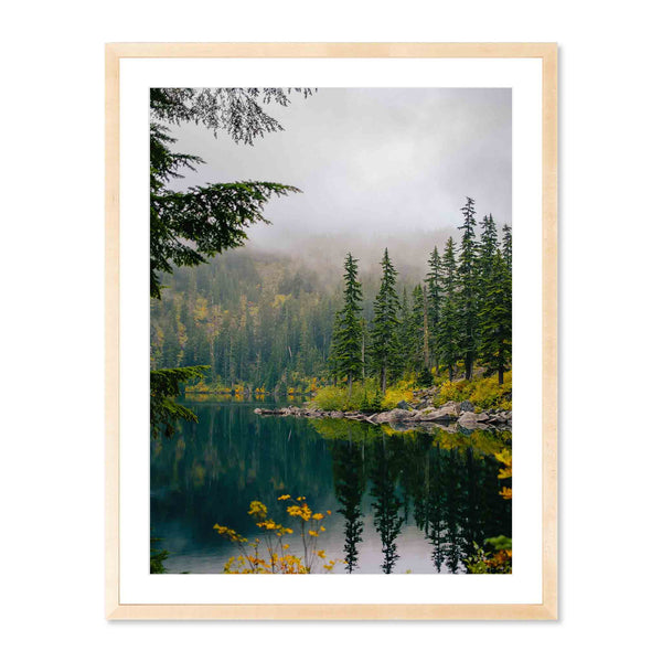 Nature Photography Prints for a Home That Doesn't Feel Staged