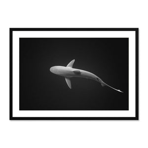 Black-and-White Ocean Photography: A Buying Guide
