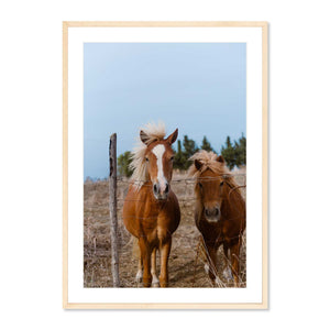 The Best Wall Art for an Entryway