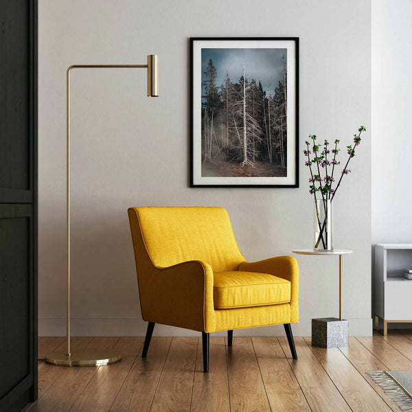 Black-and-White or Color: Choosing Prints for Your Space