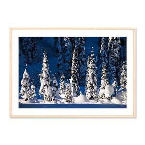 Forest Photography Prints: Why Depth Matters More Than Detail