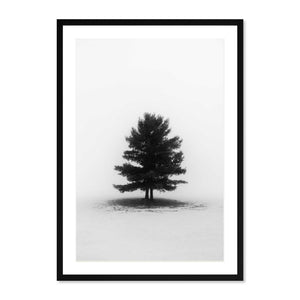 Foggy Morning, Addison