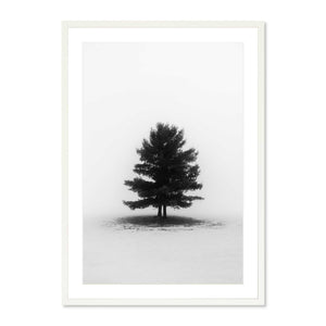 Foggy Morning, Addison