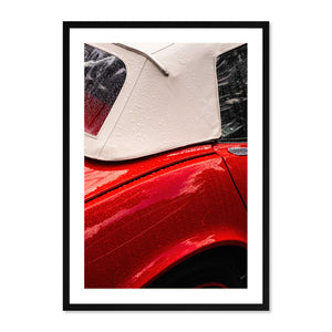 Stingray