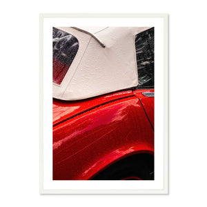 Stingray