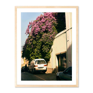 Flowering Wall, Lisbon