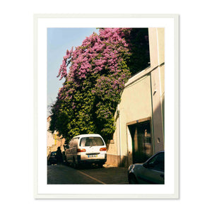 Flowering Wall, Lisbon