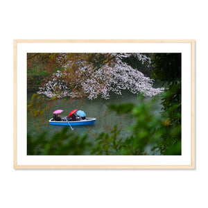 Tokyo Sakura Boat