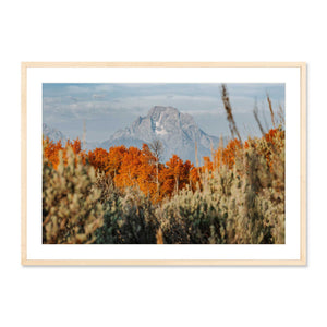 Autumn in the Tetons