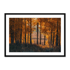 Framed artwork of a forest scene with orange and brown hues.