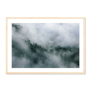 Forest and Cloud, British Columbia