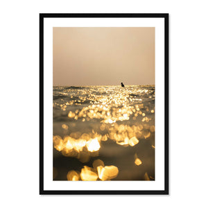 Golden Hour Surfer