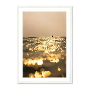 Golden Hour Surfer