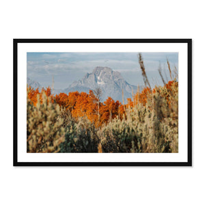 Autumn in the Tetons