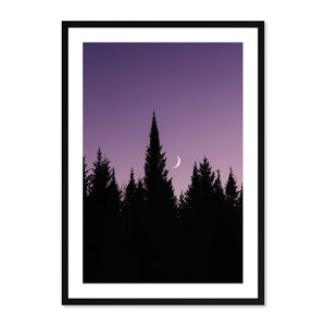 Moon over the Pines #1