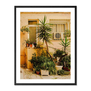 Nice Garden Wall