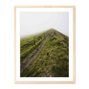 The Ridge Trail