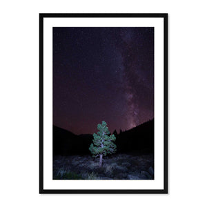 Rock Creek Canyon