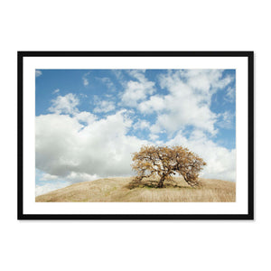 Framed fine art photography print titled Solitary Oak featuring a single oak tree on a grassy hill under a bright blue sky with scattered clouds, perfect for wall art.
