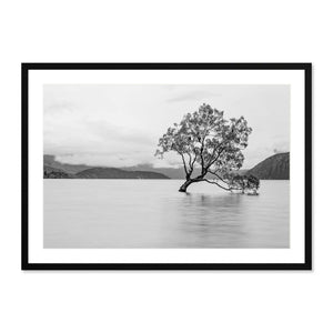 Wanaka Tree